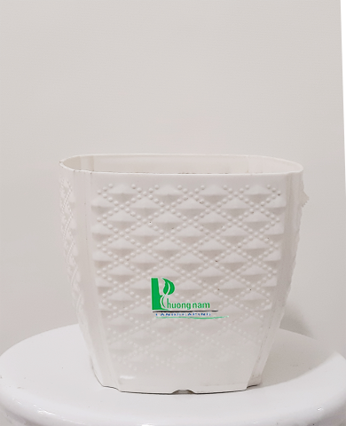Chậu nhựa trắng 16x11x14 cm Chậu nhựa trắng 16x11x14 cm
