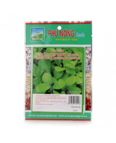 HẠT GIỐNG CẢI ĂN NON