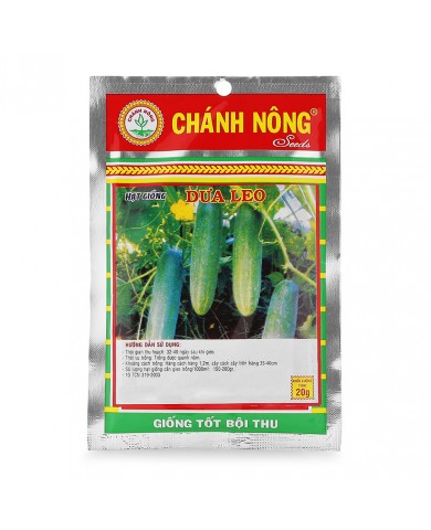 HẠT GIỐNG DƯA LEO