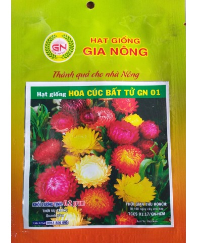 HẠT GIỐNG CÚC BẤT TỬ