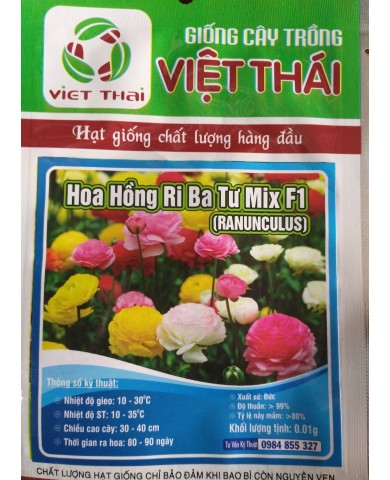 HẠT GIỐNG HOA HỒNG RI BA TƯ
