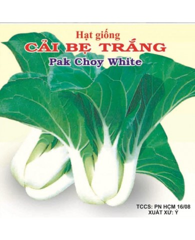 HẠT GIỐNG CẢI BẸ TRẮNG