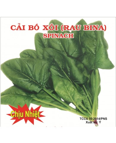 HẠT GIỐNG CẢI BÓ XÔI