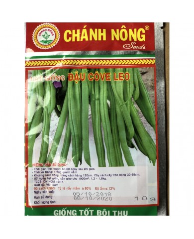 HẠT GIỐNG ĐẬU CO VE LEO