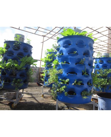 Thùng nhựa trồng rau sạch