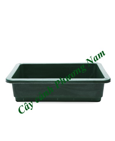 Khay trồng rau 65 x 42 cm (xanh)